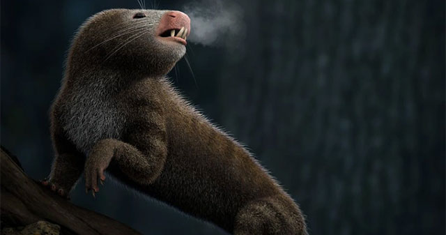 Decoding the mystery: Since when did our ancestors become warm-blooded animals?