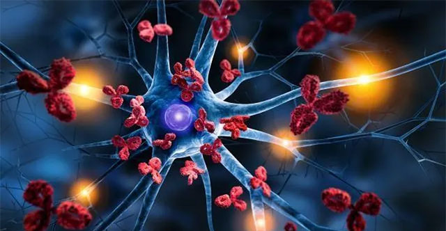 'Decoding' the origin of multiple sclerosis