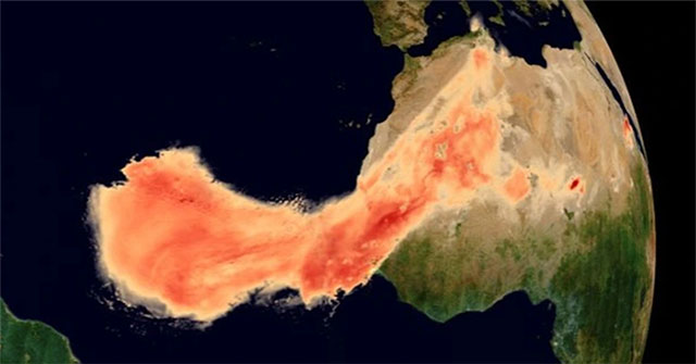 Desert dust is transformed into life-giving minerals