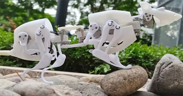 Design a robot mouse model to find survivors in disaster areas