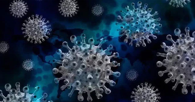 Detect weapons against all corona viruses, including SARS-CoV-2