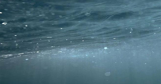 Detecting a series of healthy living organisms that do not need oxygen, light