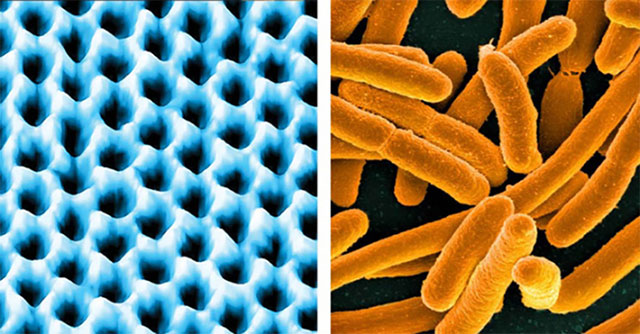 Developed ultra-sensitive device that hears bacteria