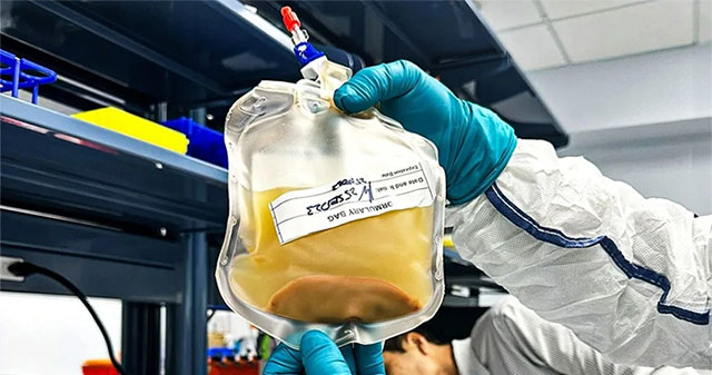 Developing a new liver in the human body from cell sacs