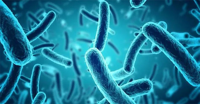 Developing new synthetic antibiotics that can kill even drug-resistant bacteria.