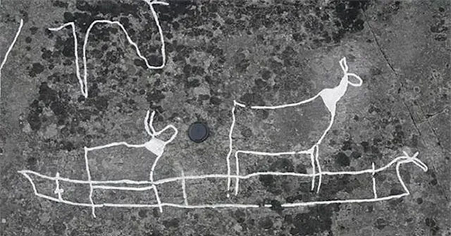 Did Scandinavians use boats made of animal skins 5,000 years ago?
