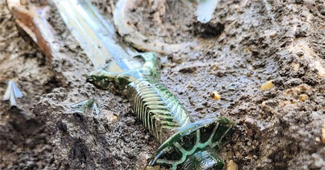 Digging up an ancient grave, stunned by a 3,500-year-old treasure still shining