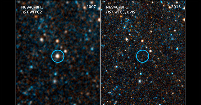 Disappearing for 14 years, 'space monster' reappears with shocking appearance