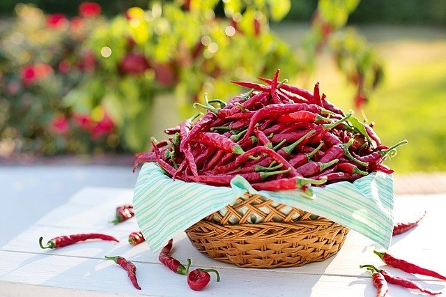 Discover 5 great health benefits from chili peppers - VN Knowledge
