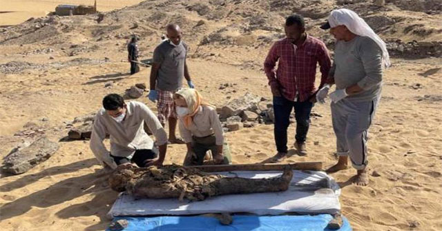 Discovered 20 'innovative' Egyptian mummies with different bloodlines