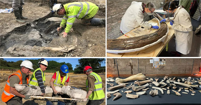 Discovered a mammoth cemetery more than 210,000 years old