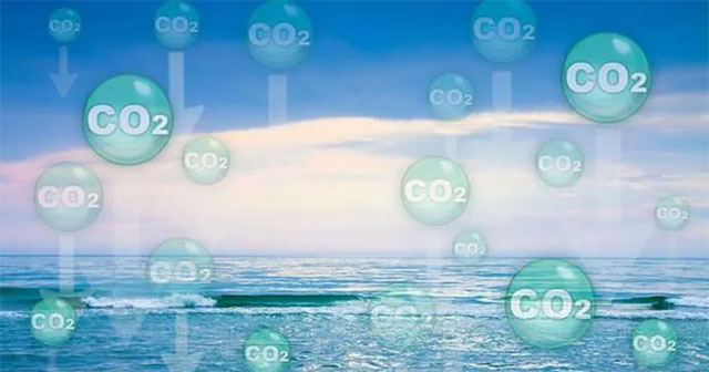 Discovered a new type of bacteria that has the ability to absorb carbon naturally