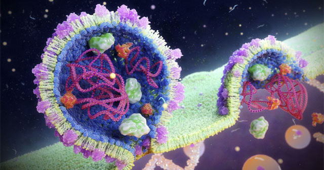 Discovered a secret virus that dominates oceans around the world