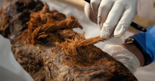 Discovered 'historical shock' in 4,000-year-old mummy: History books must be rewritten!