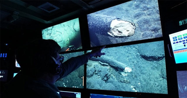 Discovered mammoth tusks buried for nearly 3 million years on the seabed