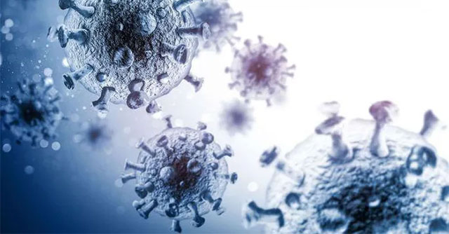 Discovered super-antibodies that can neutralize HIV
