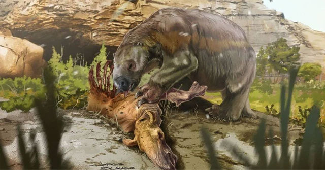 Discovered the first evidence of ancient giant sloths are not vegetarian animals