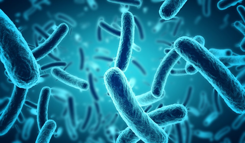Discovered the largest bacteria in the world the size of a human eyelash - VN Intelligence