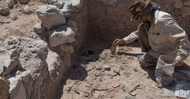 Discovered the 'mind-control magic potion' from the thousand-year-old ruins in Peru