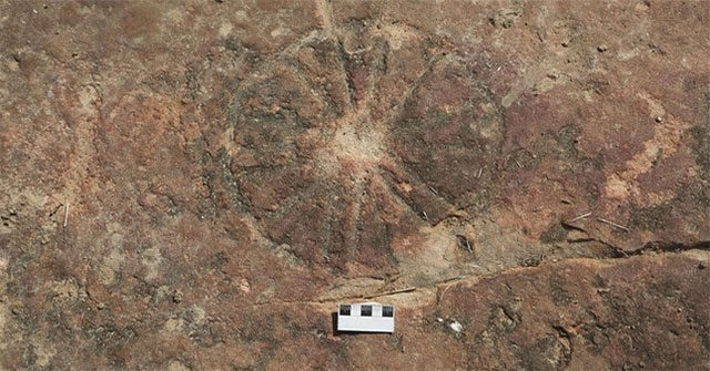 Discovering a 9,000-year-old work of art next to dinosaur footprints