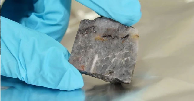 Discovering the shocking remains of a 3.5 billion-year-old creature