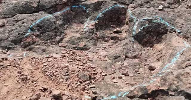 Discovery of fossilized dinosaur footprints dating back about 120 million years