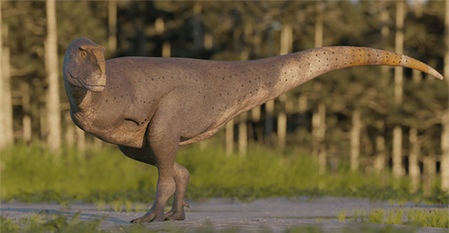 Discovery of new carnivorous dinosaur fossils in Argentina