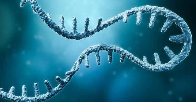 DNA test method can detect many genetic diseases at the same time
