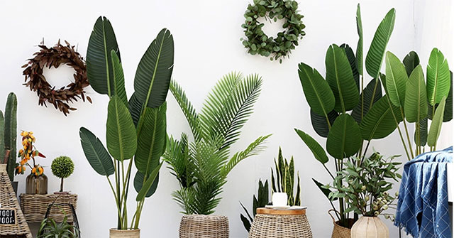 Do fake plants make us feel good?