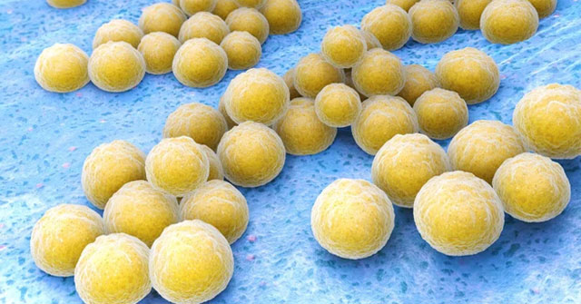 Dozens of new natural antibiotics have been found in the human body