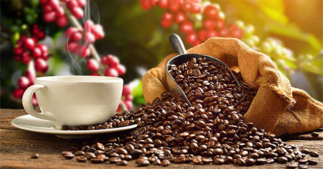 Drinking coffee every day can help prevent gout