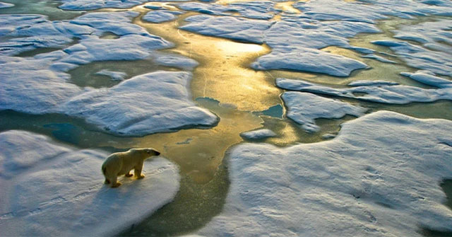 Earth's temperature could rise up to 4°C by the end of this century