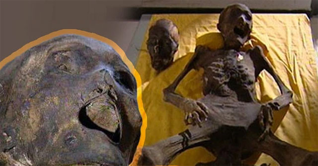 Excavating the tomb, the archaeological team was terrified to see the mummy that had woken up in the coffin.