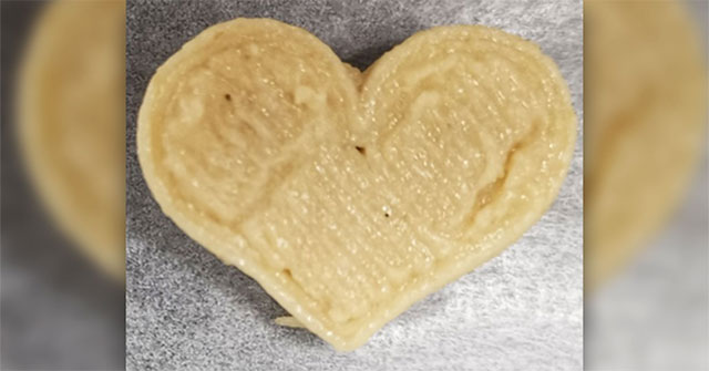 Experts create 3D printed meat made from cocoa butter