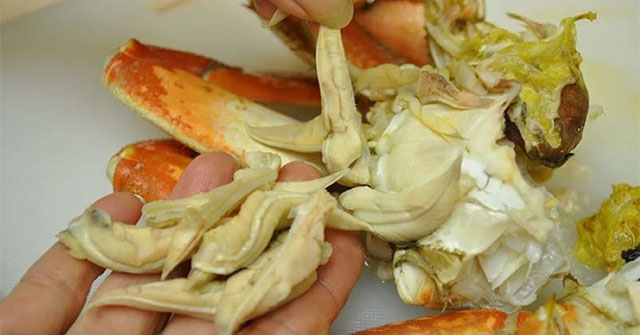 Experts point out 3 parts that absolutely should not be eaten of crabs, which should be removed immediately