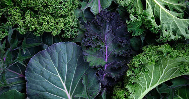 Experts shocked by discovery of extremely toxic chemicals in kale
