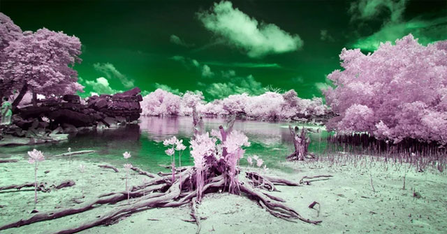 Explore the 'color blind island': Home to 250 residents and 10% of them are completely color blind