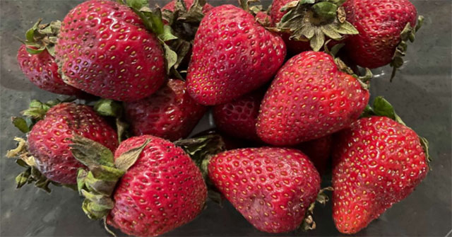 FDA warns: Strawberries may cause hepatitis A outbreak in US and Canada