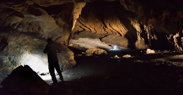 Find out where Homo sapiens mixed blood from different species