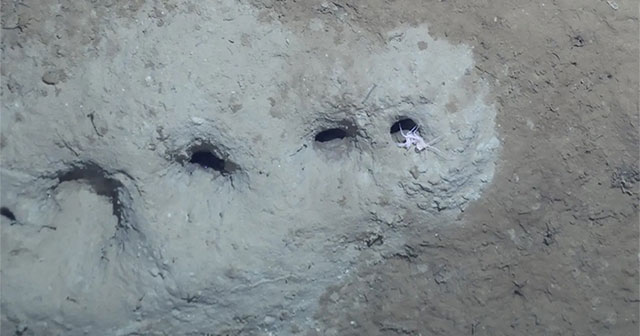 Find the culprit that created the mysterious hole in the seabed between Russia and Alaska
