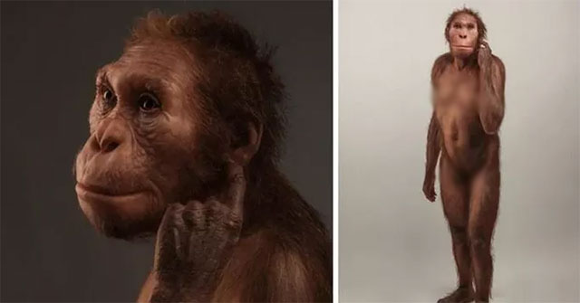Find the woman who has half-transformed between human and ape