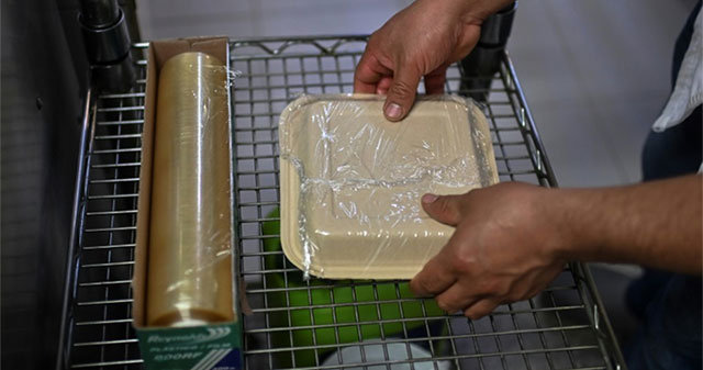 Finding sustainable bio-based alternatives to petrochemical plastics