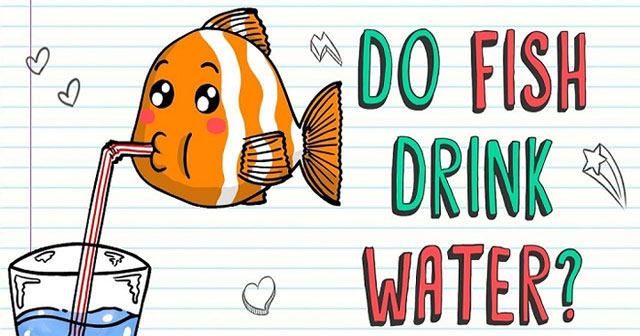 Fish live in water but do they ever get thirsty?