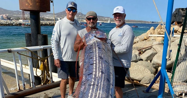 Fishermen caught a 3 meter long, 66 kg oarfish at sea