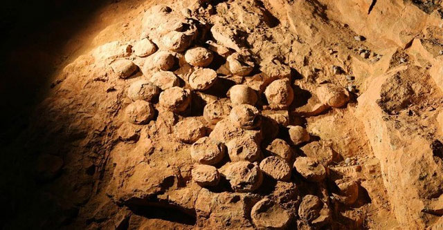 Flash flood accidentally reveals 'heavenly treasure': So rare that it shocked China and the world!