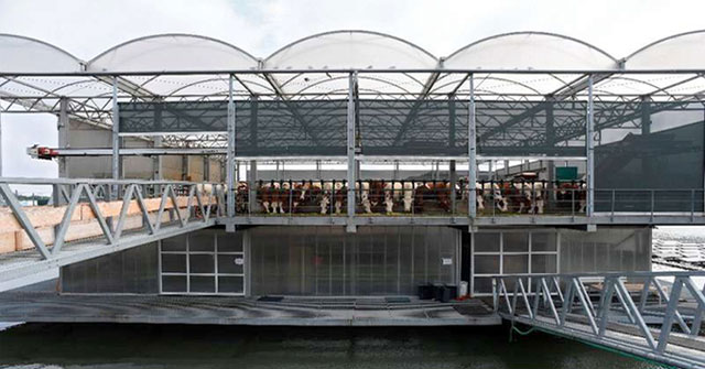 Floating farm - The future of the Dutch livestock industry