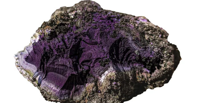 Found a 2,000-year-old block of dye that was once more expensive than gold