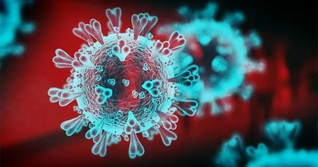German and American scientists: SARS-CoV-2 virus is likely a product of a laboratory
