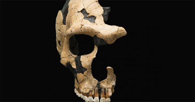'Ghost humans' discovered leaving 'hybrid offspring' in 3 modern countries