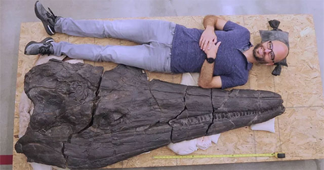 Giant 17-meter-long sea monster reveals the secret of 'miracle evolution'